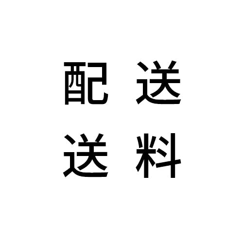 追加送料決済ページ645円